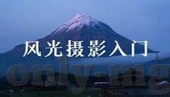 最强足球比分网-探秘最强足球比分网,数据狂欢与球迷的智慧之选